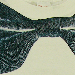 images/21.jpg