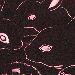 images/5.jpg